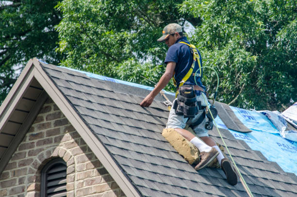 Best Roof Gutter Cleaning  in Dearborn Heights, MI